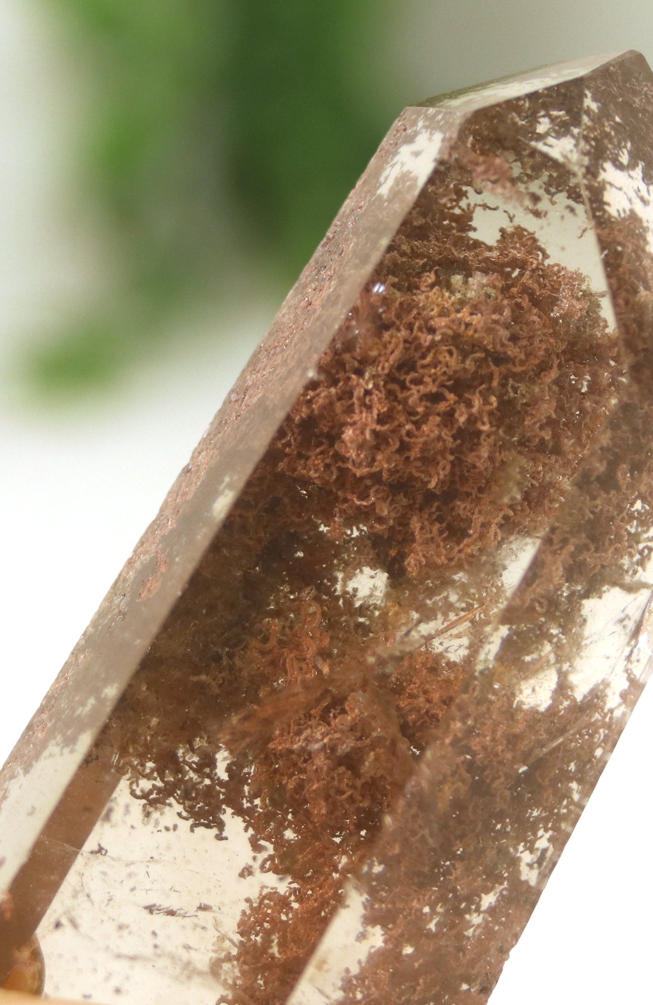 Lodalite Quartz Freeform Generator